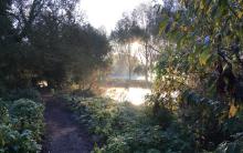 Summer Mist in Paradise Nature Reserve