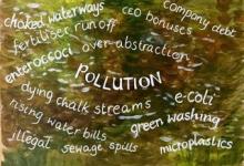 Painting accompanying a petition on cleaning up the Cam Painting of concerns about the Cam
